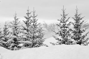 爱游戏平台-冬季滑雪公开课受家长学生欢迎，冬季滑雪公开课受家长学生欢迎怎么办