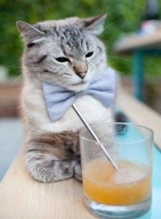 爱游戏登录入口-智能体育设备数据采集与用户体验研究,智能体育运动设备