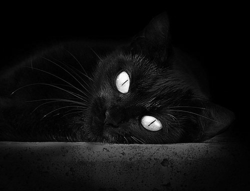 爱游戏娱乐网址-西甲球员视觉空间感知能力与高强度传切配合效率关系研究