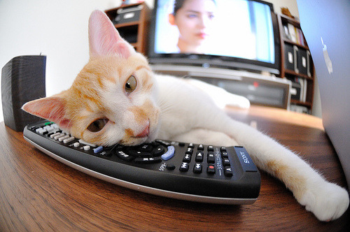 爱游戏电竞官网-主场氛围是否是真正决定五大联赛胜率的秘密武器,五大联赛主场胜率最高的球队