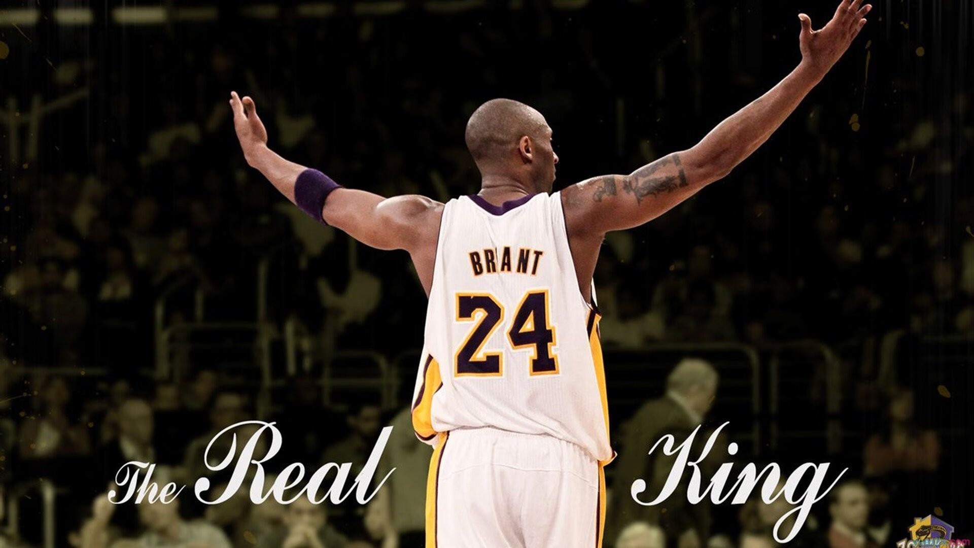 荒野追逐:极致越野赛道上的勇士角逐,荒野追击下载